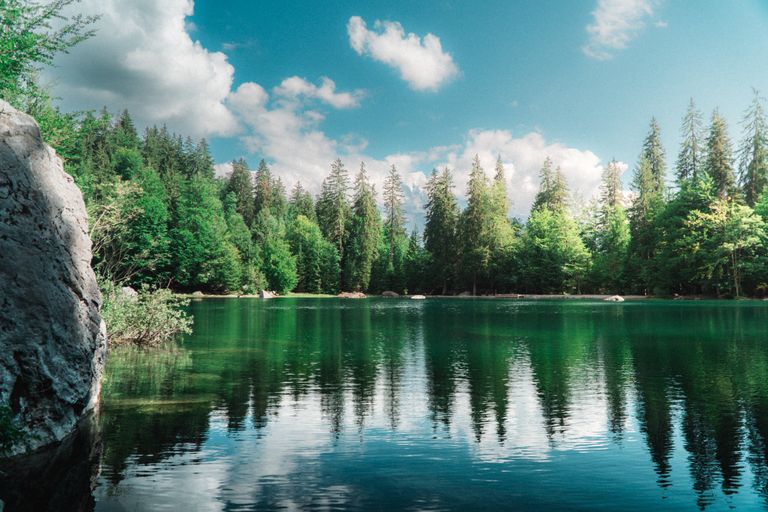 Tranquil mountain lake with lush green trees reflecting in the clear water under a blue sky.
