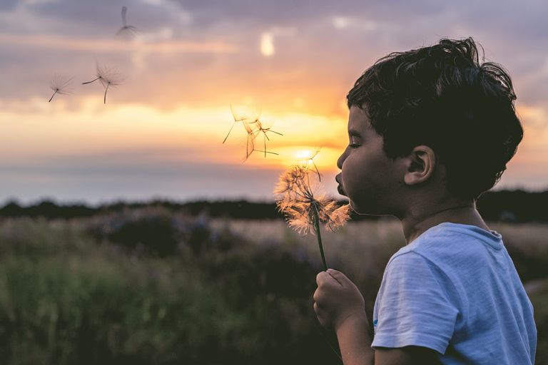 A young boy blows a dandelion in an outdoor setting during sunrise, with seeds dispersing.