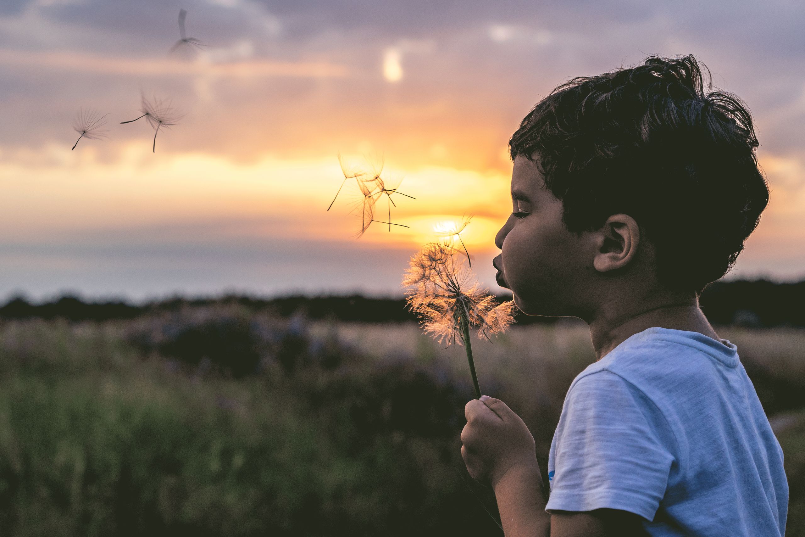 A young boy blows a dandelion in an outdoor setting during sunrise, with seeds dispersing.